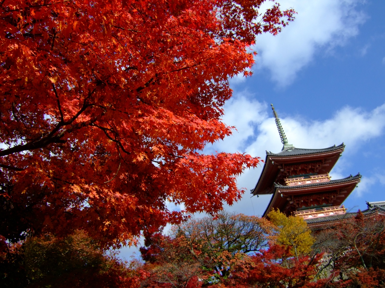 その3 清水寺 八坂神社 平安神宮 秋色の京都を辿る旅 東山 祇園 北白川 京都 の旅行記 ブログ By がりさん フォートラベル その3 清水寺 八坂神社 平安神宮 秋色の京都を辿る旅 東山 祇園 北白川 京都 の旅行記 ブログ By がりさん フォートラベル