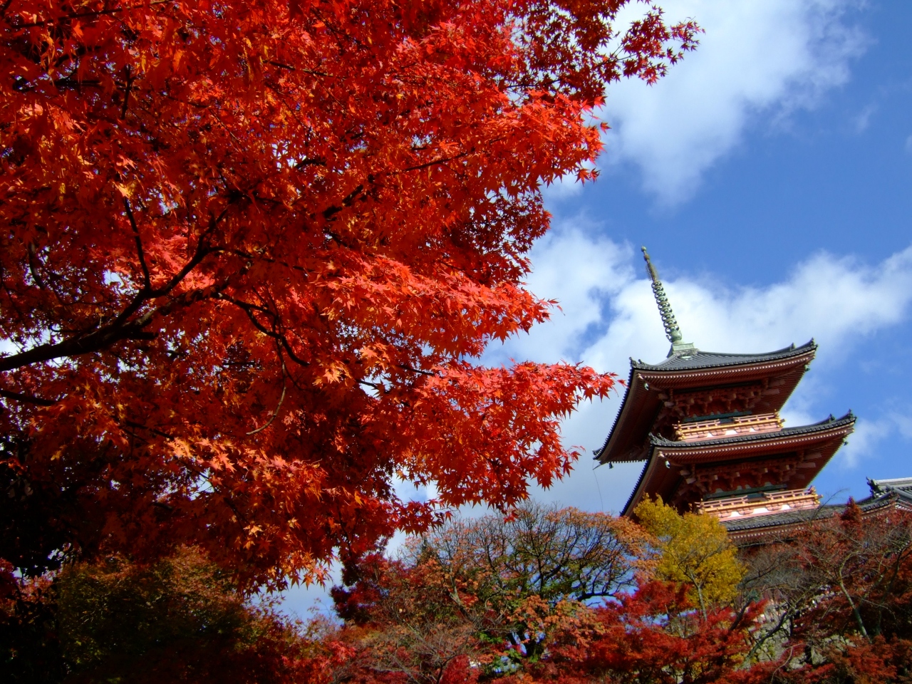 その３ 清水寺 八坂神社 平安神宮 秋色の京都を辿る旅 東山 祇園 北白川 京都 の旅行記 ブログ By がりさん フォートラベル