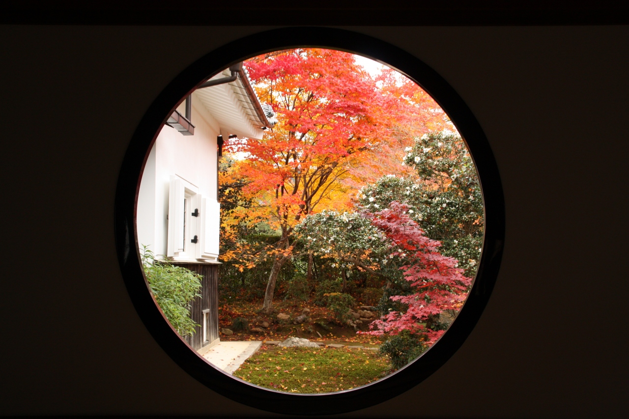 08京都最新紅葉情報4 北野 衣笠 鷹峰 今出川 北大路 北野 京都 の旅行記 ブログ By 花好京人さん フォートラベル