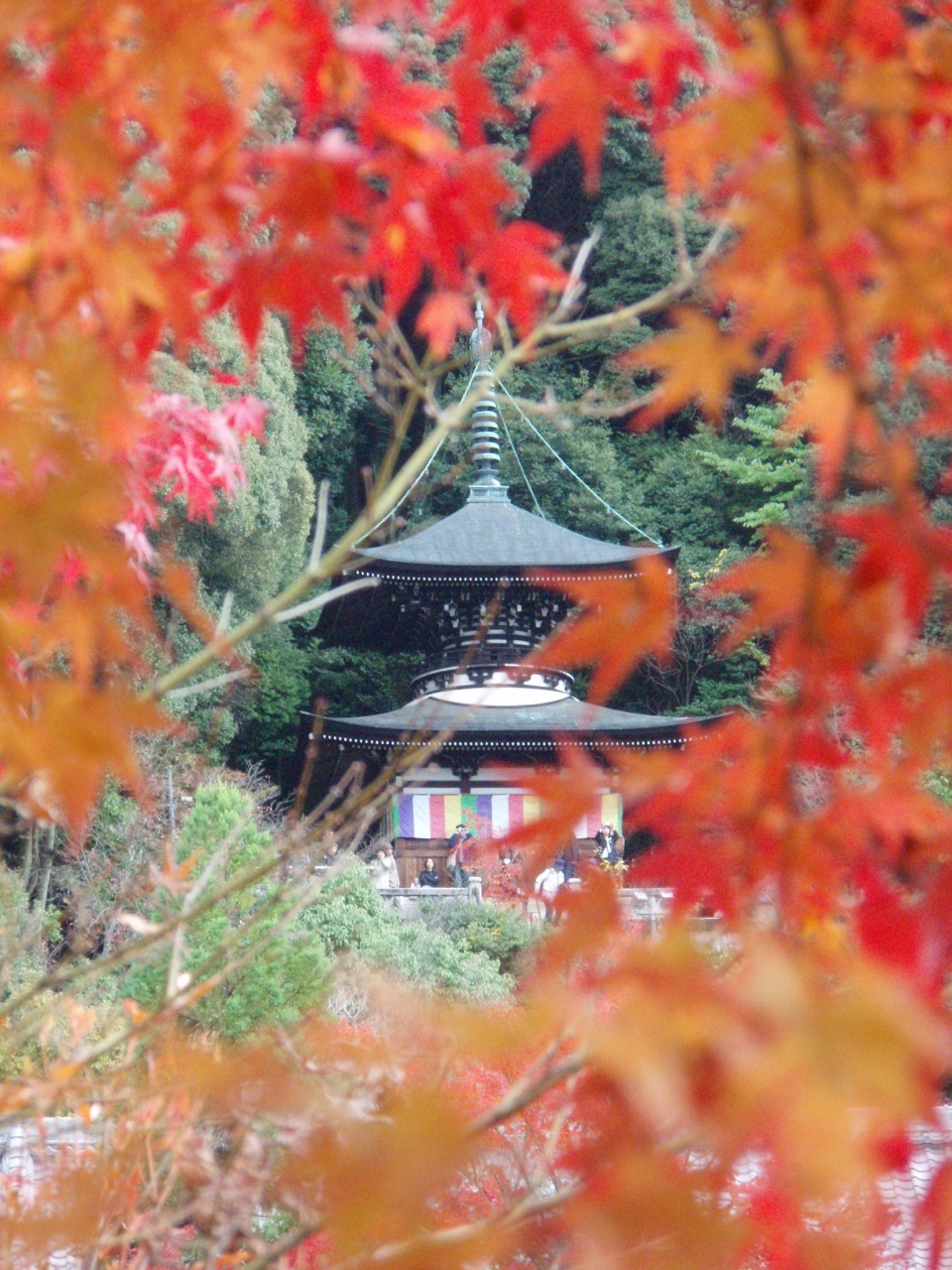 源氏物語千年紀 紅葉の京都 南禅寺 永観堂 東山 祇園 北白川 京都 の旅行記 ブログ By Manamiさん フォートラベル
