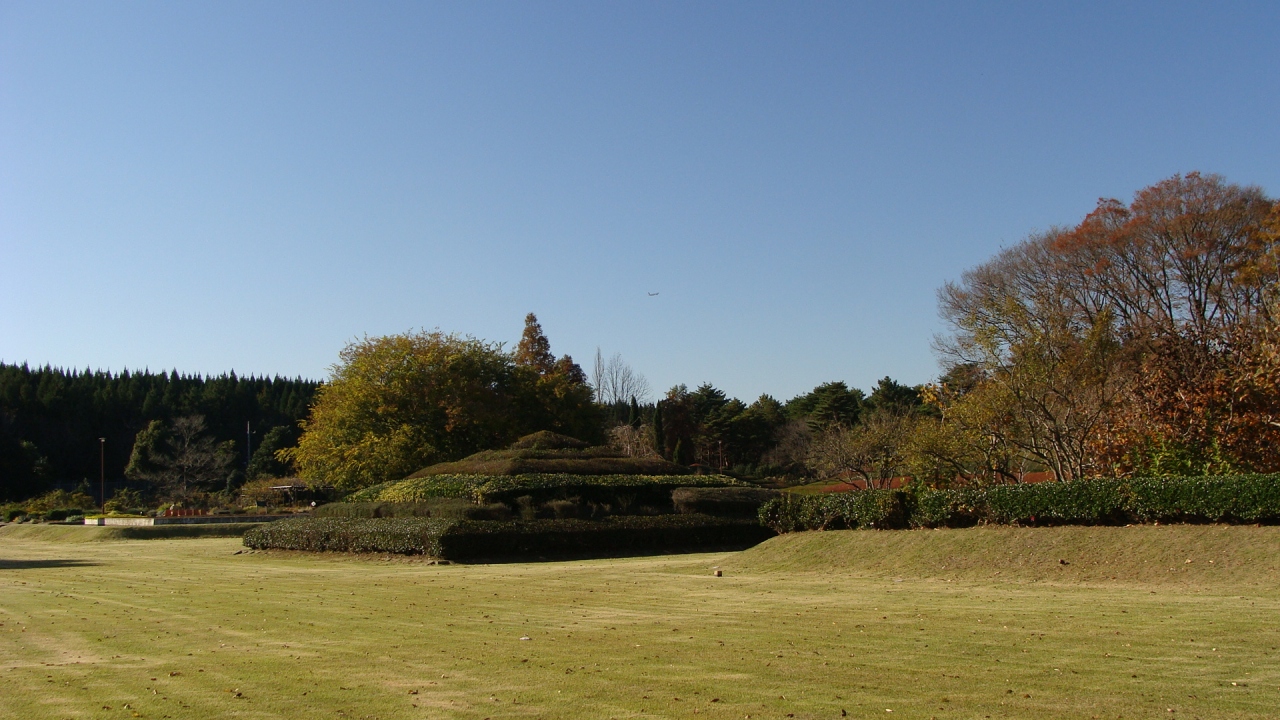 千葉県花植木センター 成田 千葉県 の旅行記 ブログ By Hn11さん フォートラベル