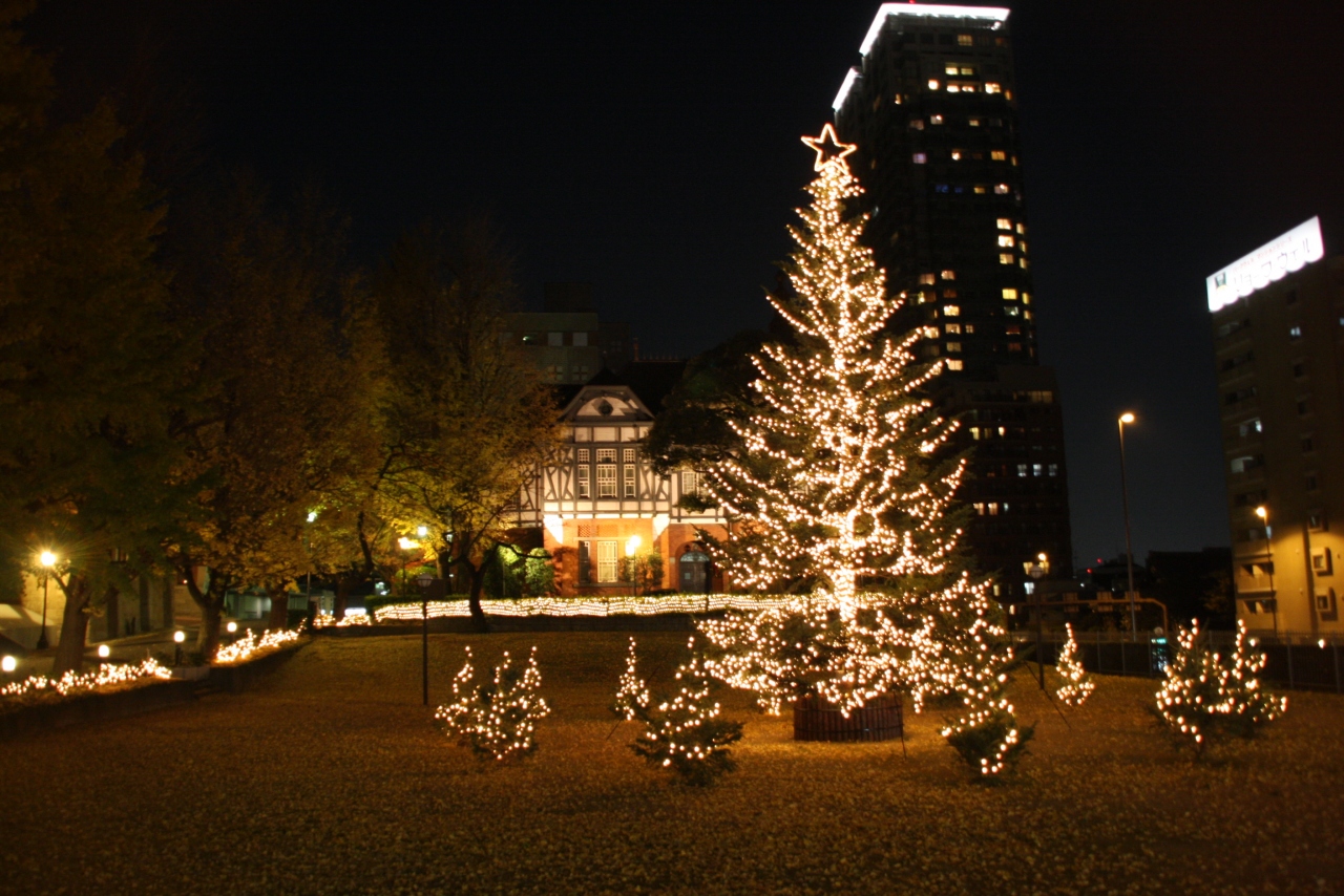 家の近所のクリスマスイルミネーション08 大崎 五反田 東京 の旅行記 ブログ By ぬいぬいさん フォートラベル