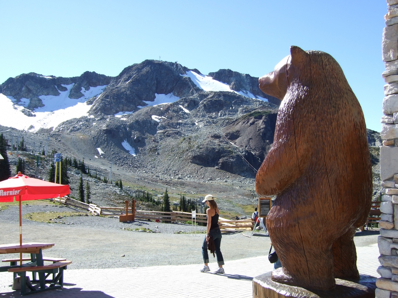 夏のウィスラー 2 山頂へ ウィスラー カナダ の旅行記 ブログ By 白麟さん フォートラベル