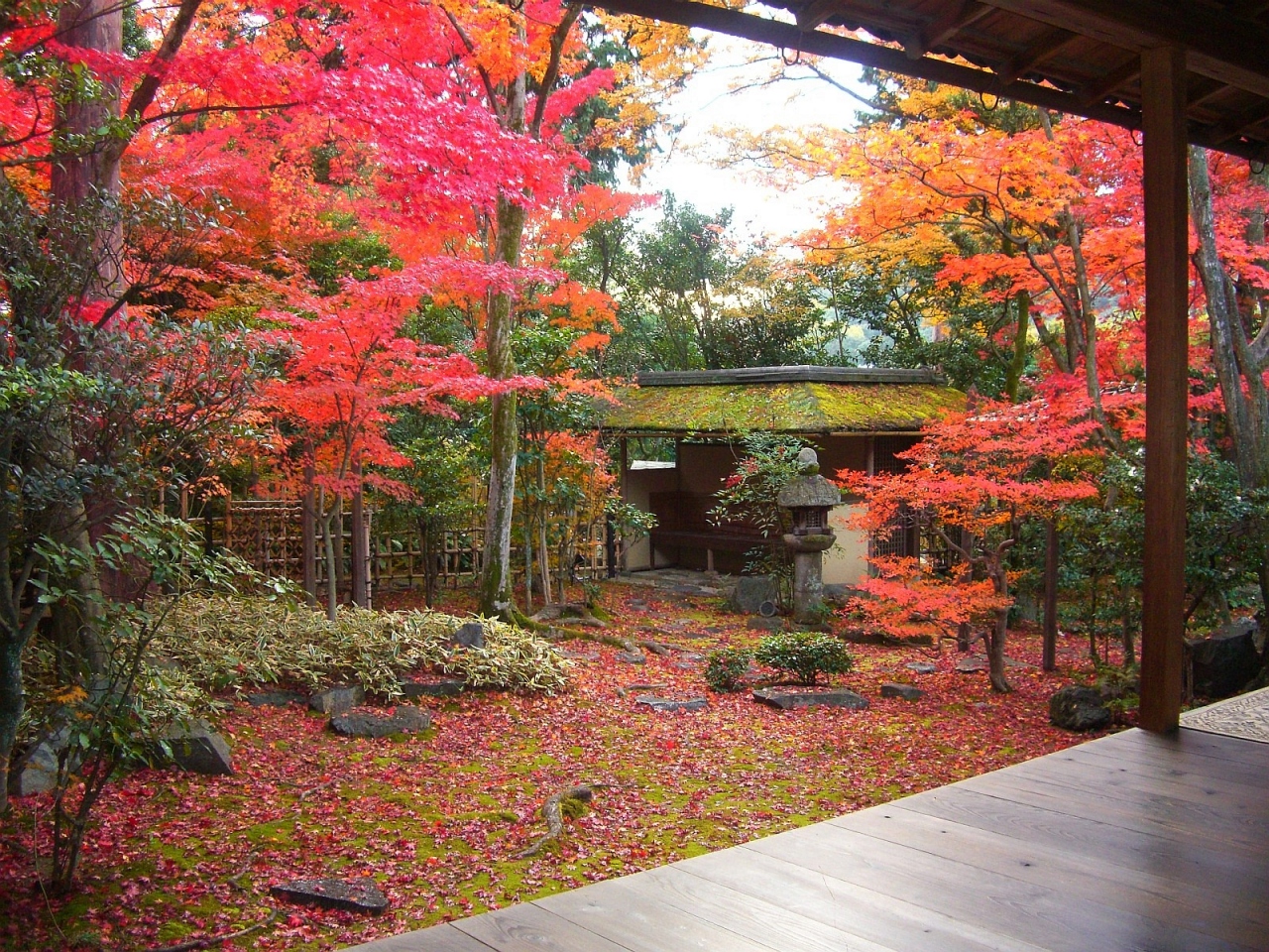 紅葉の古都 京都 洛西 妙心寺 大法院 嵐山 嵯峨野 太秦 桂 京都 の旅行記 ブログ By Comevaさん フォートラベル