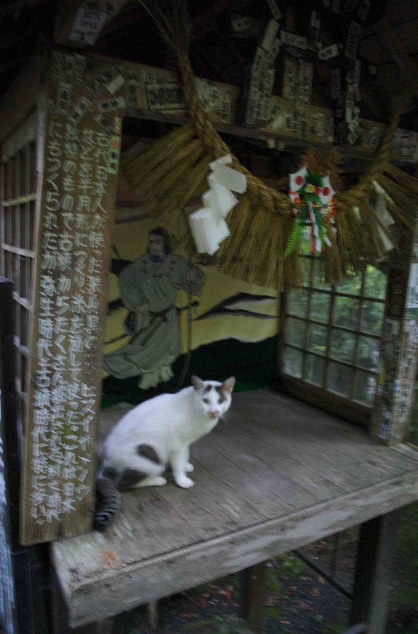 宮 崎 旅 行 - 神話の国 - 』高千穂・五ヶ瀬(宮崎県)の旅行記・ブログ 