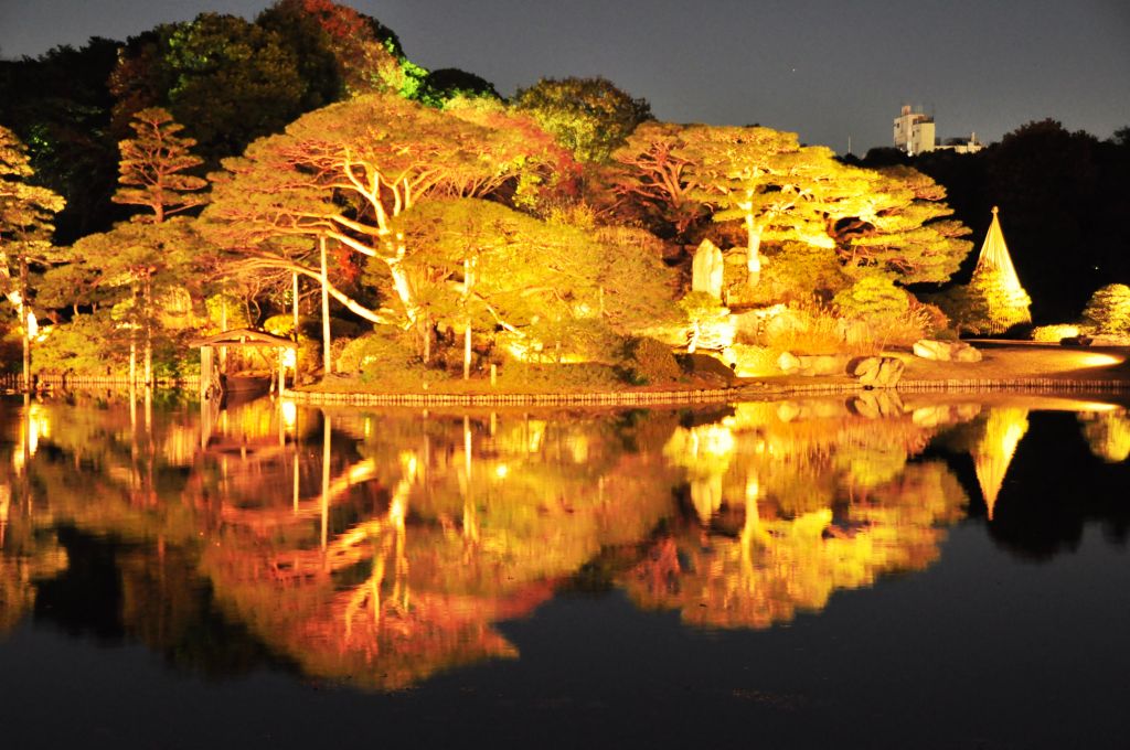 美しき東京夜景 六義園 大塚 巣鴨 駒込 東京 の旅行記 ブログ By Cervo Montagnaさん フォートラベル