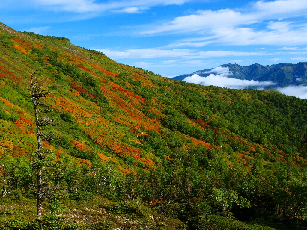 日本で一番早い紅葉を求めて 大雪山 赤岳 白雲岳 緑岳 層雲峡 北海道 の旅行記 ブログ By タオさん フォートラベル