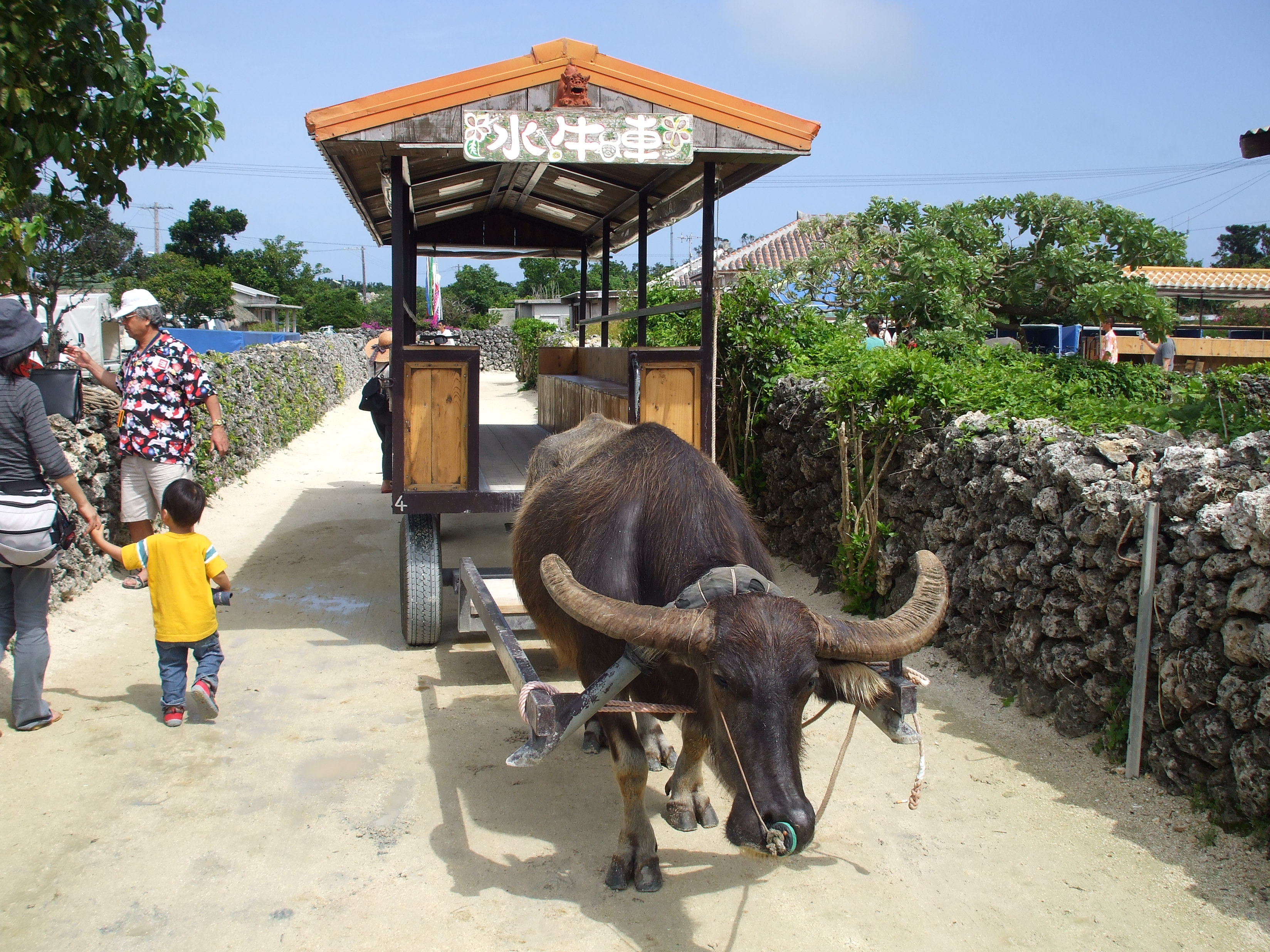 初夏の八重山ツアー その一 竹富島編 竹富島 沖縄県 の旅行記 ブログ By サラリーマン たけあきさん フォートラベル 初夏の八重山ツアー その一 竹富島編 竹富島 沖縄県 の旅行記 ブログ By サラリーマン たけあきさん フォートラベル