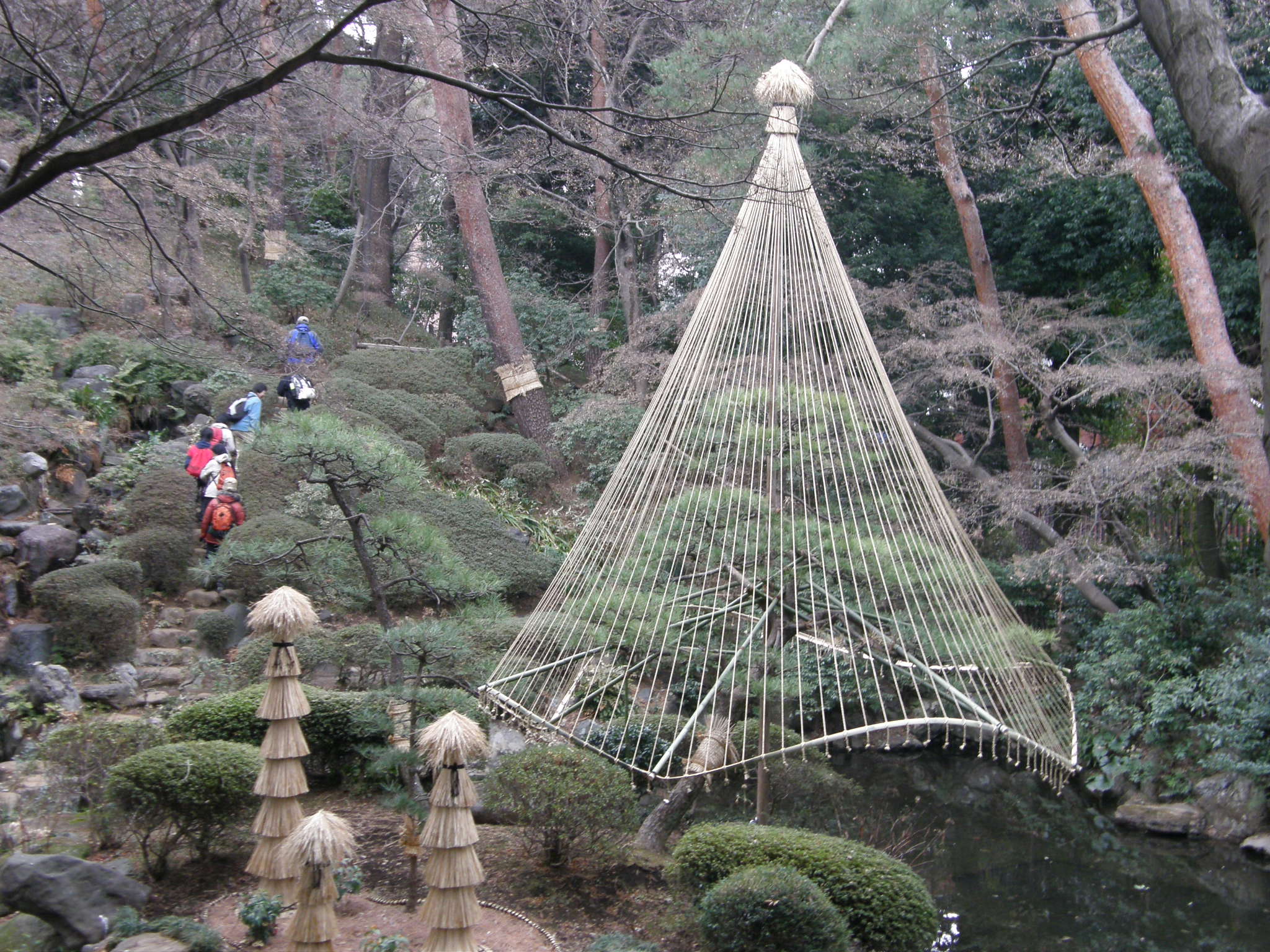 国分寺 お鷹の道を歩く 殿ヶ谷戸庭園 国分寺 小金井 東京 の旅行記 ブログ By いっちゃんさん フォートラベル