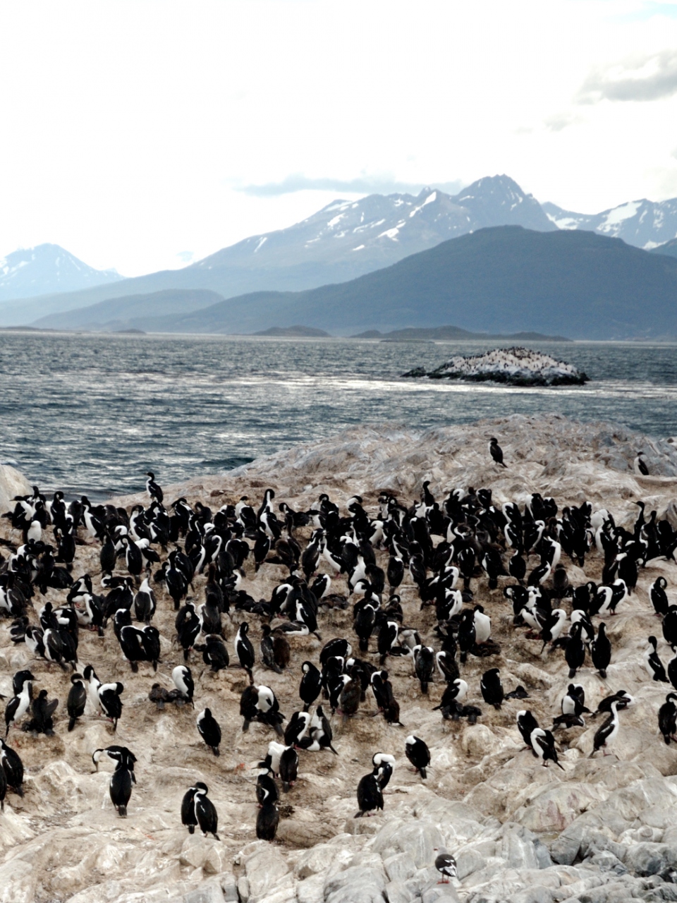 マルティアル氷河とビーグル水道 Ushuaia 1日目 パタゴニア紀行 4 ウシュアイア アルゼンチン の旅行記 ブログ By Tedさん フォートラベル マルティアル氷河とビーグル水道 Ushuaia 1日目 パタゴニア紀行 4 ウシュアイア アルゼンチン の旅行記 ブログ By Tedさん フォートラベル
