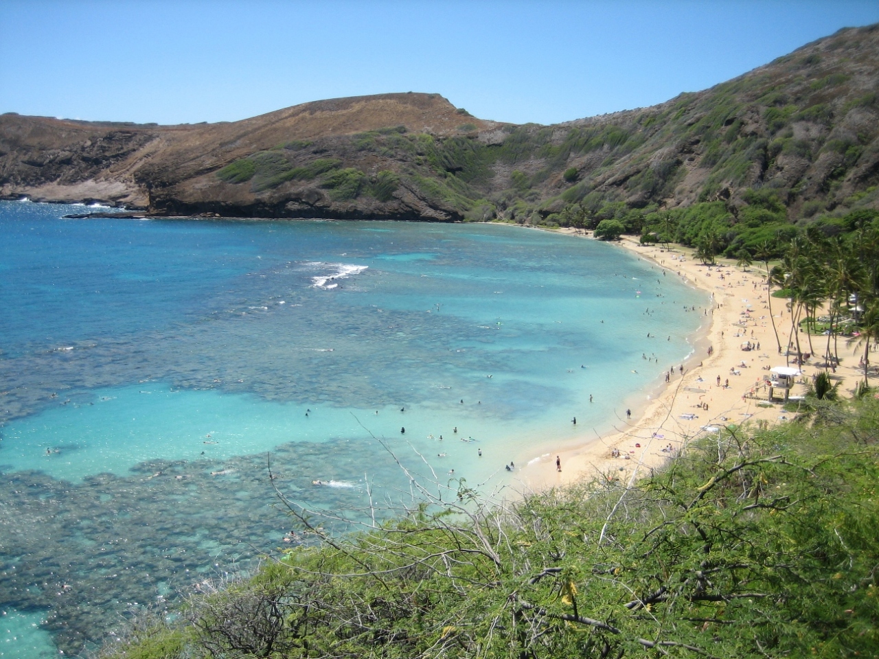 フラ三昧のhawaii 自力でハナウマ湾 ビーチフラショー ミッシェルズ ホノルル ハワイ の旅行記 ブログ By Hiro Rinさん フォートラベル