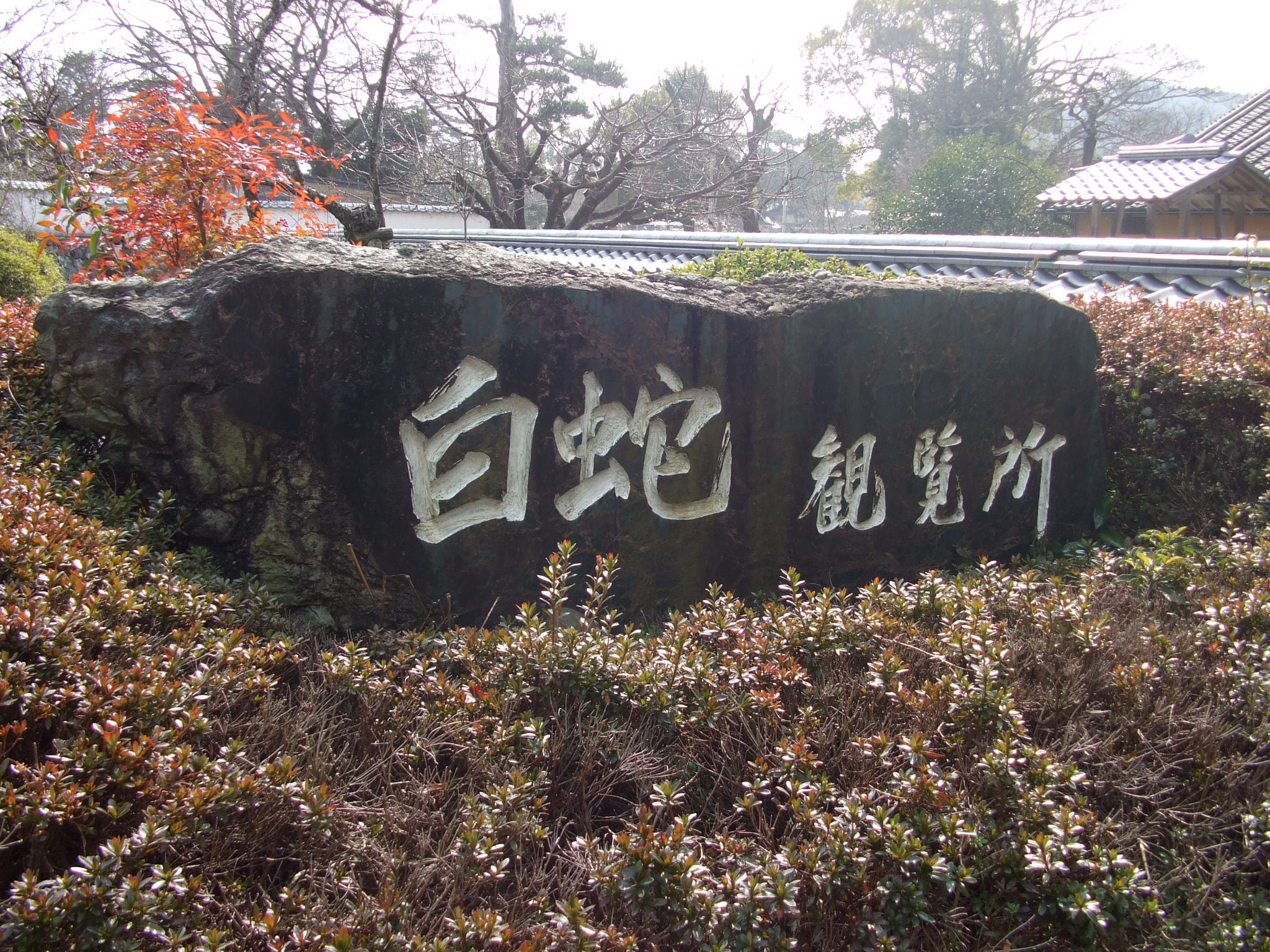 錦帯橋の白蛇様 錦帯橋周辺 山口県 の旅行記 ブログ By Jilllucaさん フォートラベル