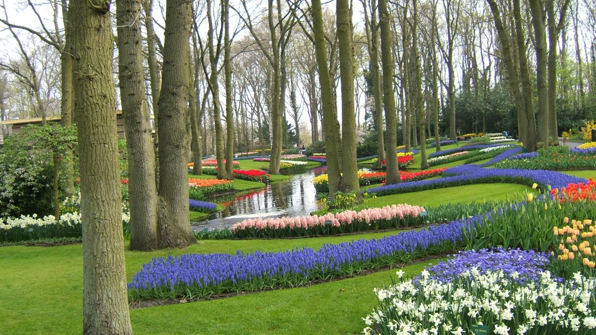 オランダ ベルギー ルクセンブルグの旅 キューケンホフ公園はこの世の天国のよう キューケンホフ オランダ の旅行記 ブログ By オリーブさん フォートラベル オランダ ベルギー ルクセンブルグの旅 キューケンホフ公園はこの世の天国のよう キューケンホフ オランダ の旅行記 ブログ By オリーブさん フォートラベル