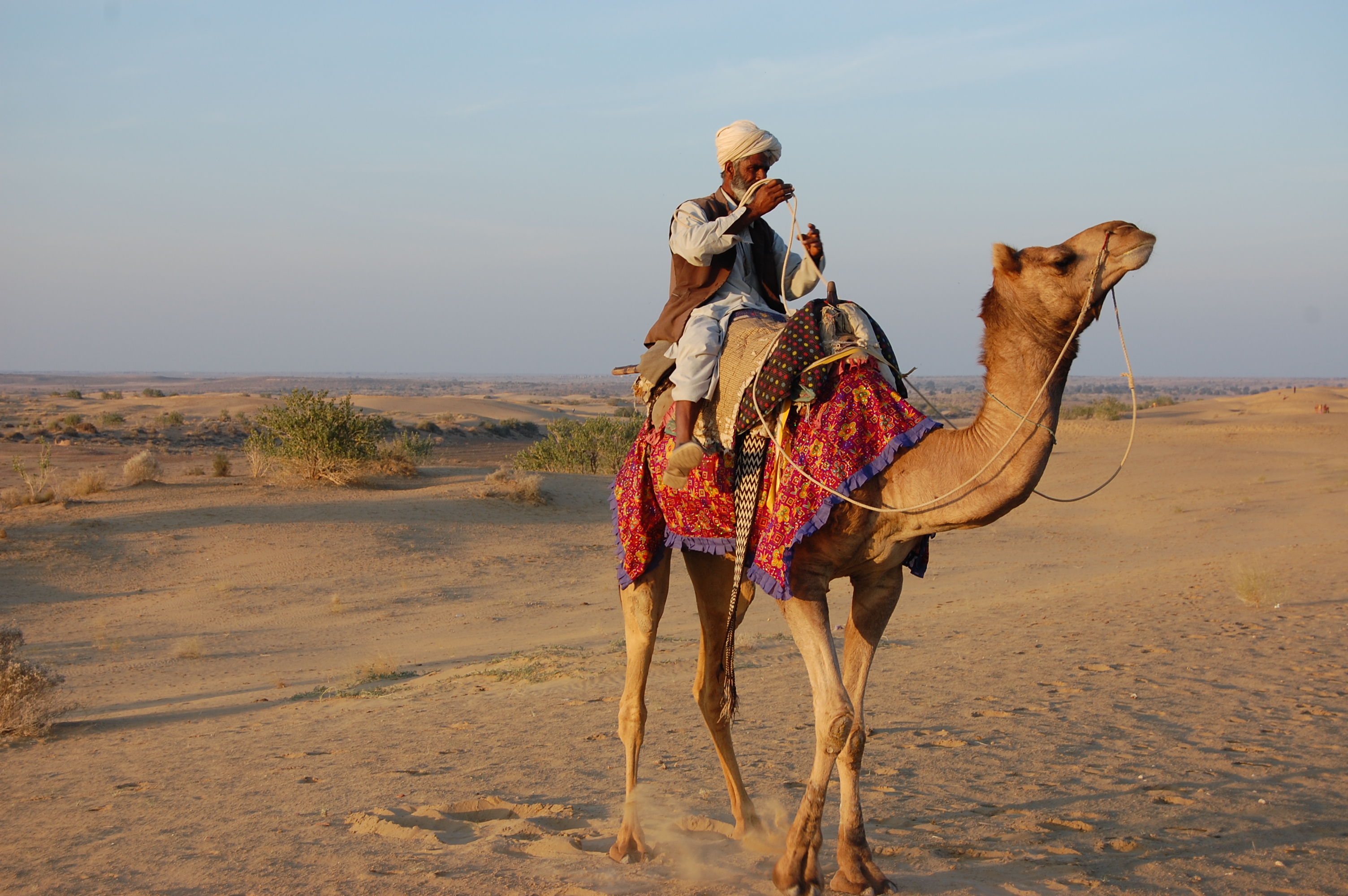 ラージャスタンの旅 6 ジャイサルメール4 キャメルサファリ ジャイサルメール インド の旅行記 ブログ By トンガリキさん フォートラベル ラージャスタンの旅 6 ジャイサルメール4 キャメルサファリ ジャイサルメール インド の旅行記 ブログ By トンガリキさん フォートラベル