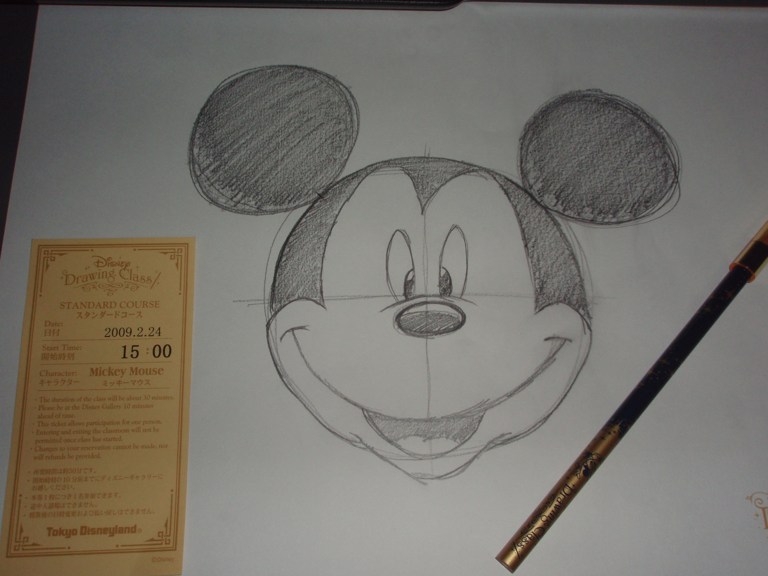 09冬のディズニーランドへ 東京ディズニーリゾート 千葉県 の旅行記 ブログ By 犬のおまわりさんさん フォートラベル