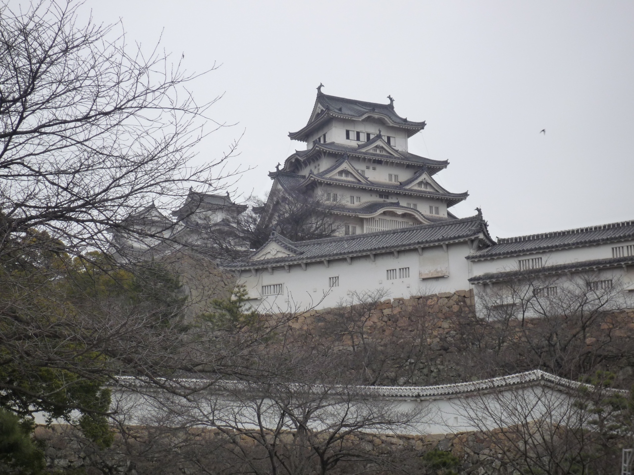 雨の姫路城 姫路 兵庫県 の旅行記 ブログ By さくら子さん フォートラベル 雨の姫路城 姫路 兵庫県 の旅行記 ブログ By さくら子さん フォートラベル