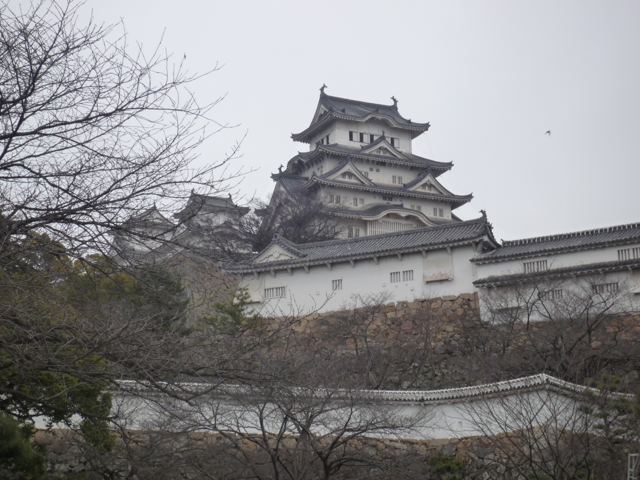 雨の姫路城 姫路 兵庫県 の旅行記 ブログ By さくら子さん フォートラベル