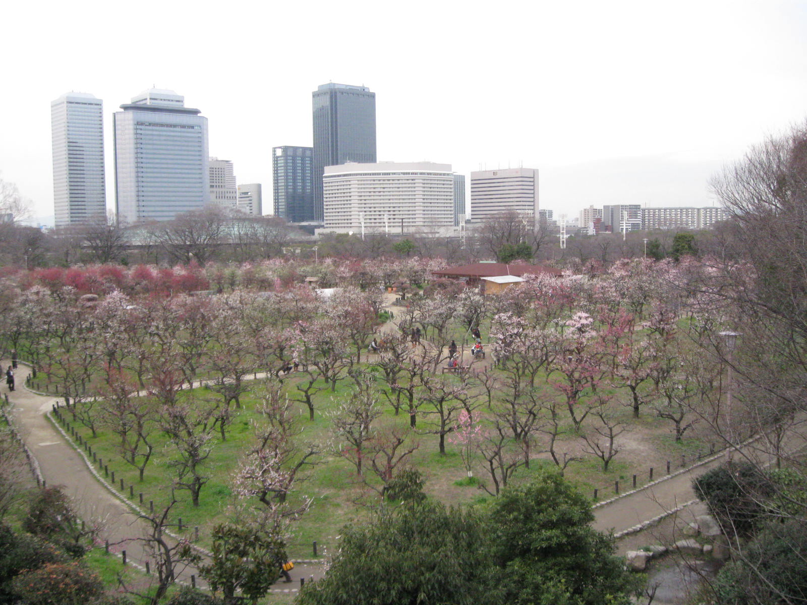 写真撮影in大阪城公園梅林 大阪城 京橋 大阪 の旅行記 ブログ By ゆったんさん フォートラベル 写真撮影in大阪城公園梅林 大阪城 京橋 大阪 の旅行記 ブログ By ゆったんさん フォートラベル