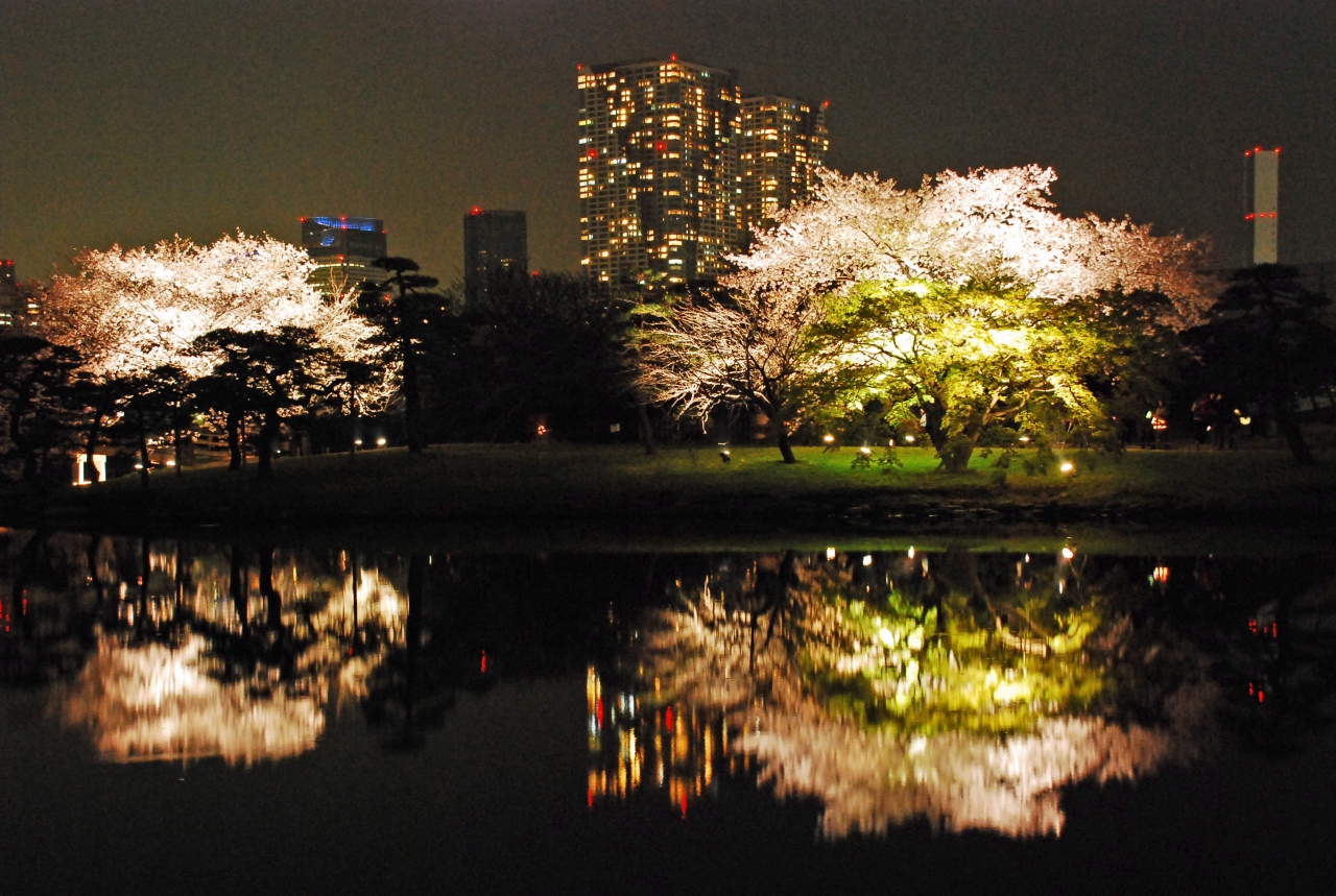 浜離宮 夜桜ライトアップ 汐留 東京 の旅行記 ブログ By Ralphinさん フォートラベル