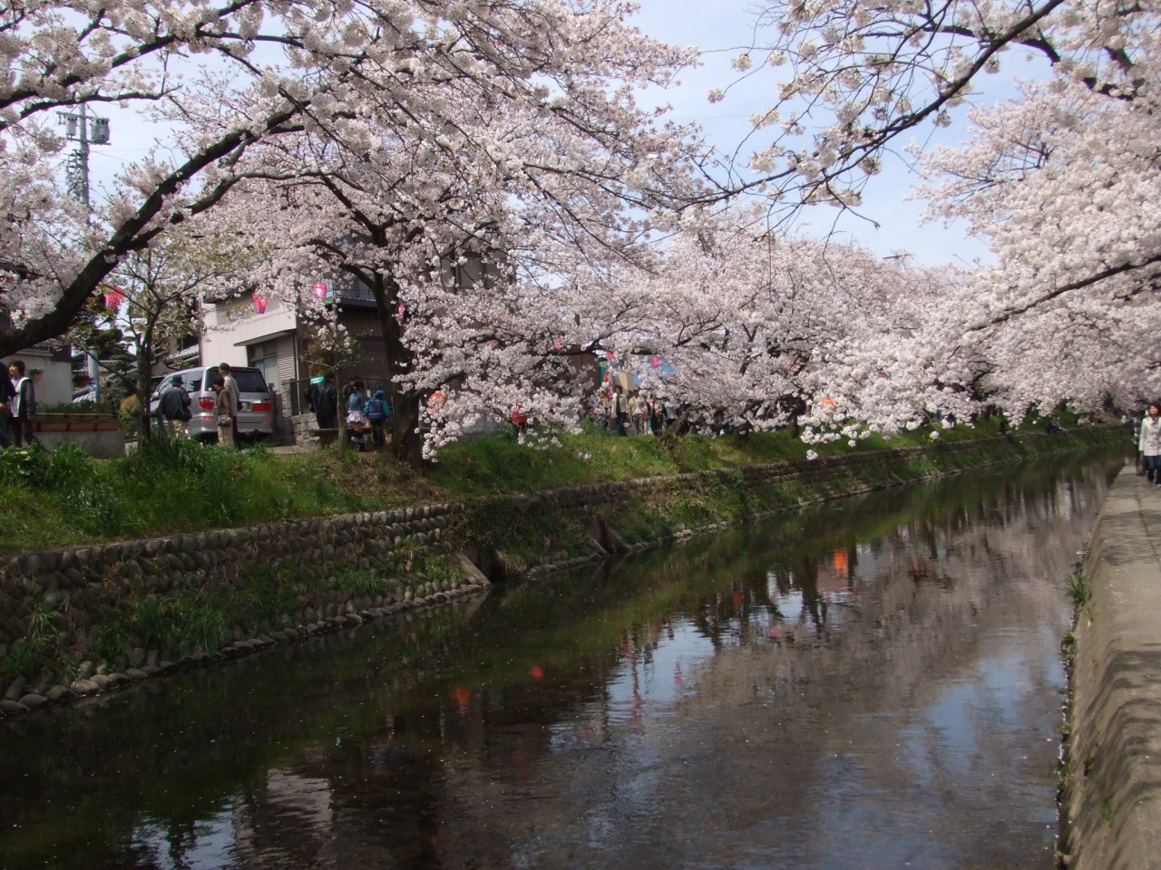 五条川 桜まつり 岩倉 江南 愛知県 の旅行記 ブログ By Bonskyさん フォートラベル