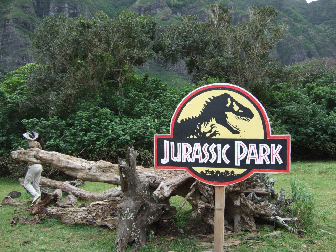 寒いよ ハワイなのに ホノルル ハワイ の旅行記 ブログ By Alchemistさん フォートラベル