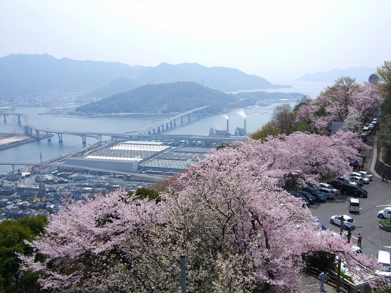 広島 桜前線100k ツーリング 黄金山 江波山 広島市 広島県 の旅行記 ブログ By 風遊さん フォートラベル