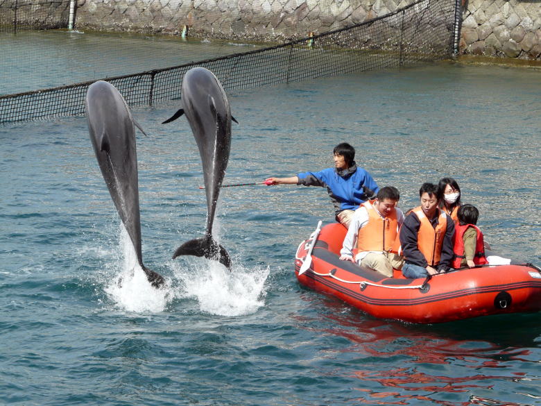 05 伊豆三津 いずみと シーパラダイス イルカの海 でボートの上からショーを楽しむボートラクション 沼津 静岡県 の旅行記 ブログ By ミシマさん フォートラベル