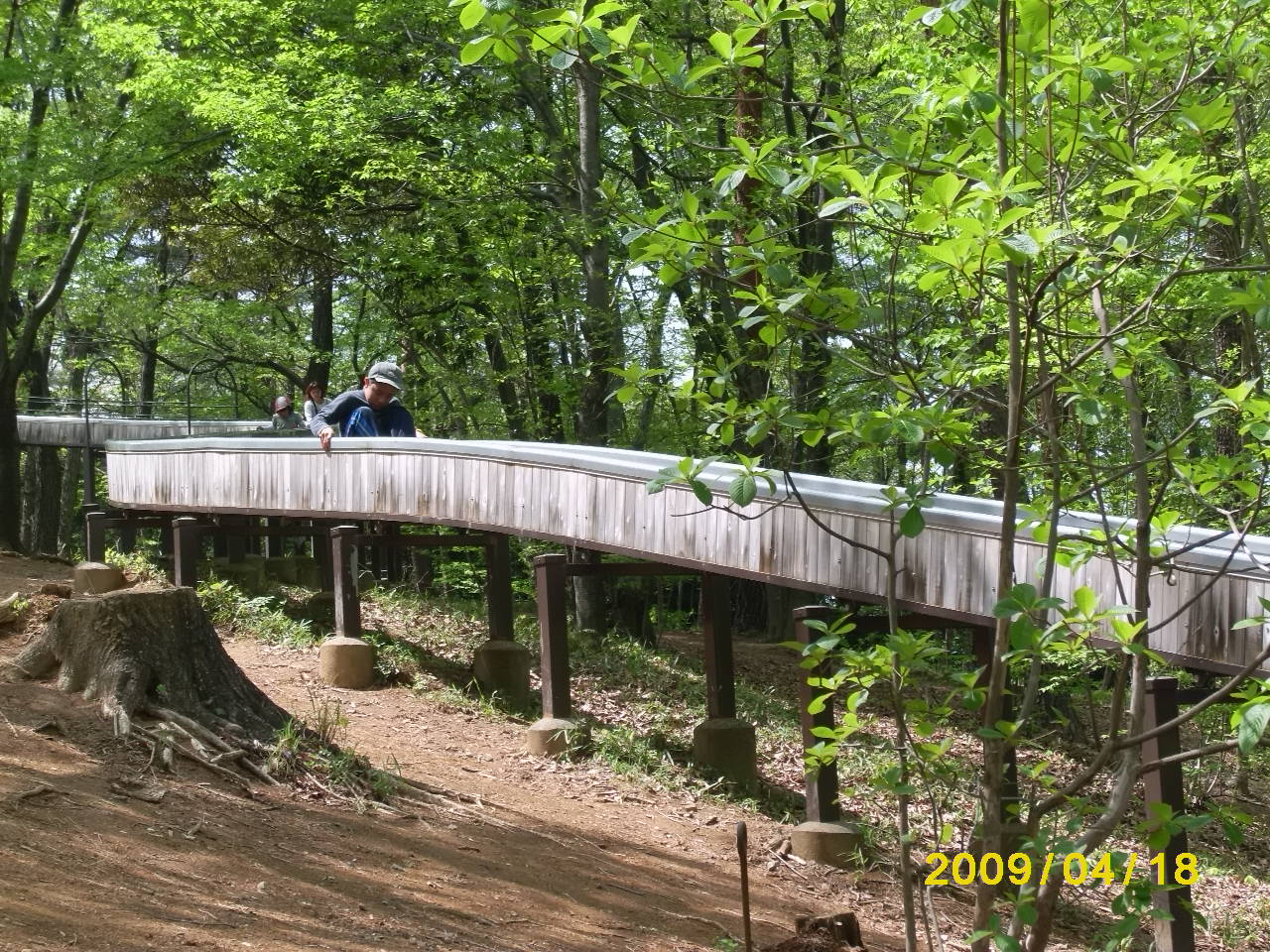 森林公園 サイクリング 東松山 埼玉県 の旅行記 ブログ By まーがりんさん フォートラベル 森林公園 サイクリング 東松山 埼玉県 の旅行記 ブログ By まーがりんさん フォートラベル