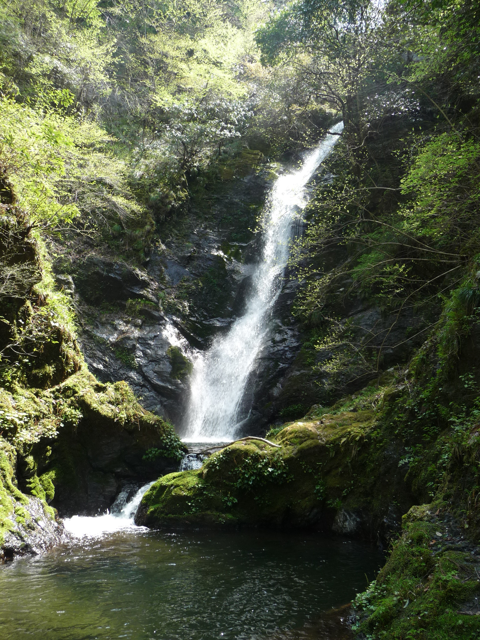 滝紀行 野鹿の滝 福井県おおい町名田庄 小浜 若狭 福井県 の旅行記 ブログ By Joecoolさん フォートラベル 滝紀行 野鹿の滝 福井県おおい町名田庄 小浜 若狭 福井県 の旅行記 ブログ By Joecoolさん フォートラベル