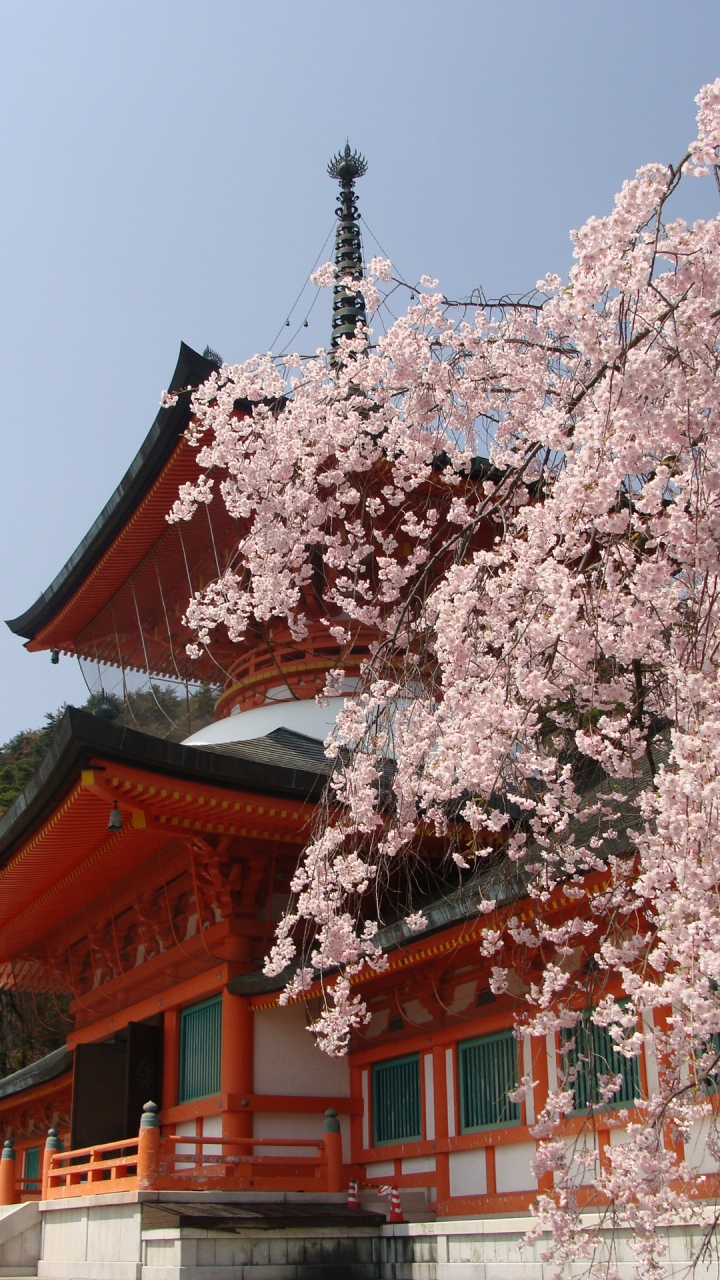善光寺の納骨堂 雲上殿のお花見 長野市 長野県 の旅行記 ブログ By Hn11さん フォートラベル 善光寺の納骨堂 雲上殿のお花見 長野市 長野県 の旅行記 ブログ By Hn11さん フォートラベル