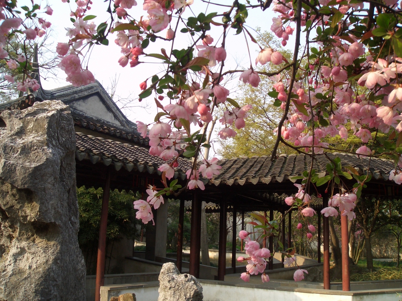 花咲く蘇州庭園巡り 蘇州 中国 の旅行記 ブログ By Blanchさん フォートラベル 花咲く蘇州庭園巡り 蘇州 中国 の旅行記 ブログ By Blanchさん フォートラベル