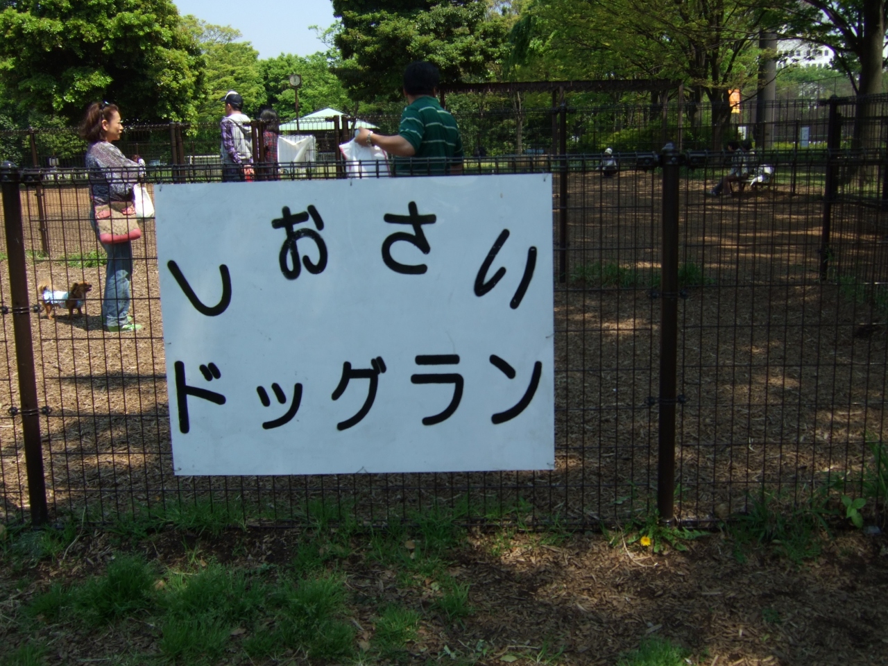 わんこと大井埠頭中央海浜公園 楽しいドッグラン 大森 大井町 東京 の旅行記 ブログ By パピーさん フォートラベル