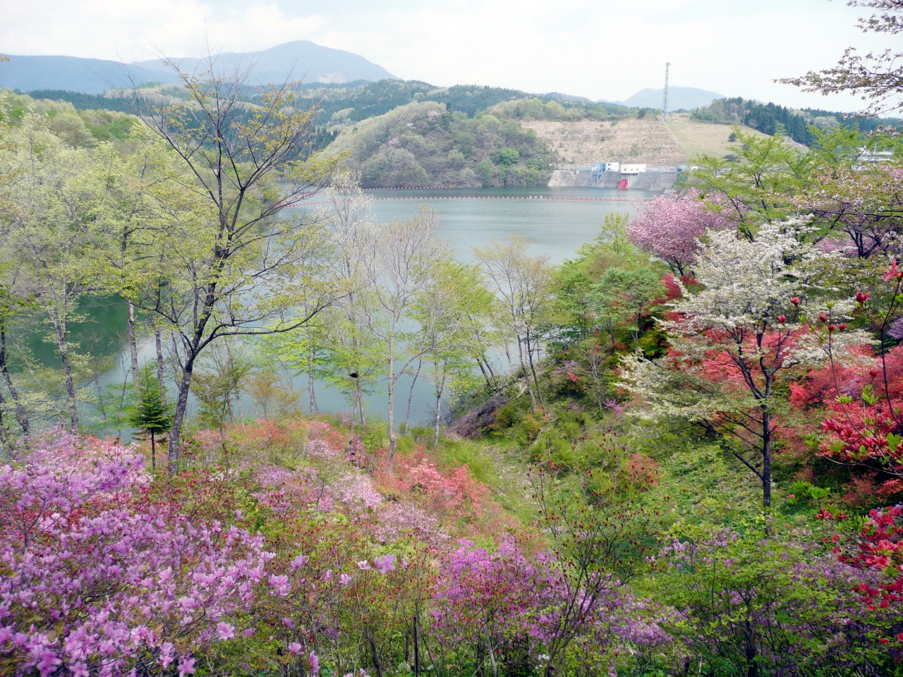 泉ボタニカルガーデン その１ 仙台 宮城県 の旅行記 ブログ By さくらampanさん フォートラベル