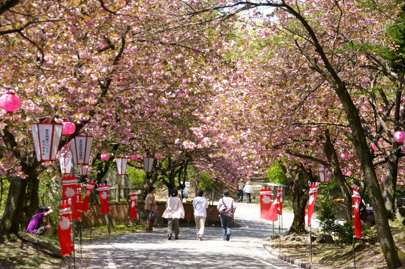峠 倶利 伽羅