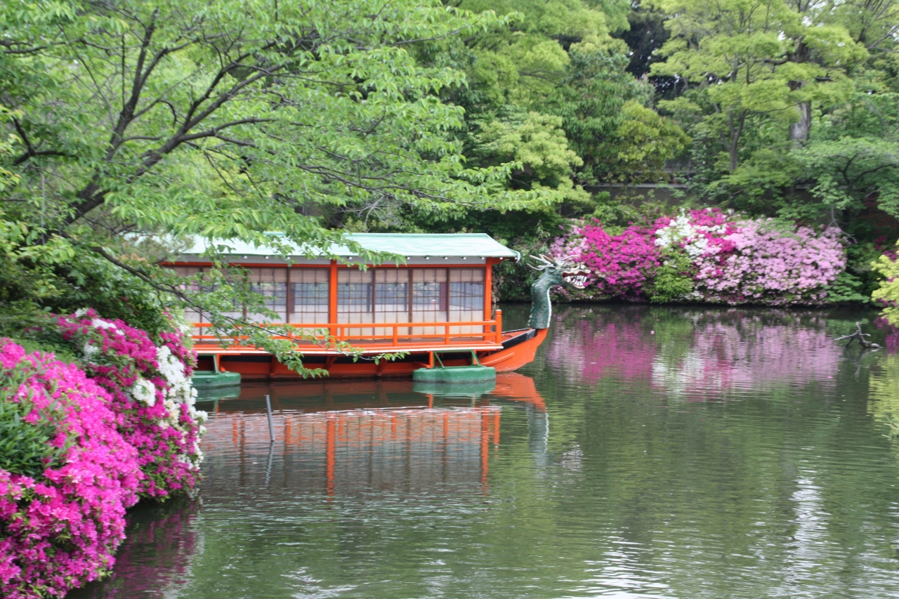5月のゴールデンウィークの京の花 神泉苑 円山公園 二条 烏丸 河原町 京都 の旅行記 ブログ By 花好京人さん フォートラベル 5月のゴールデンウィークの京の花 神泉苑 円山公園 二条 烏丸 河原町 京都 の旅行記 ブログ By 花好京人さん フォートラベル
