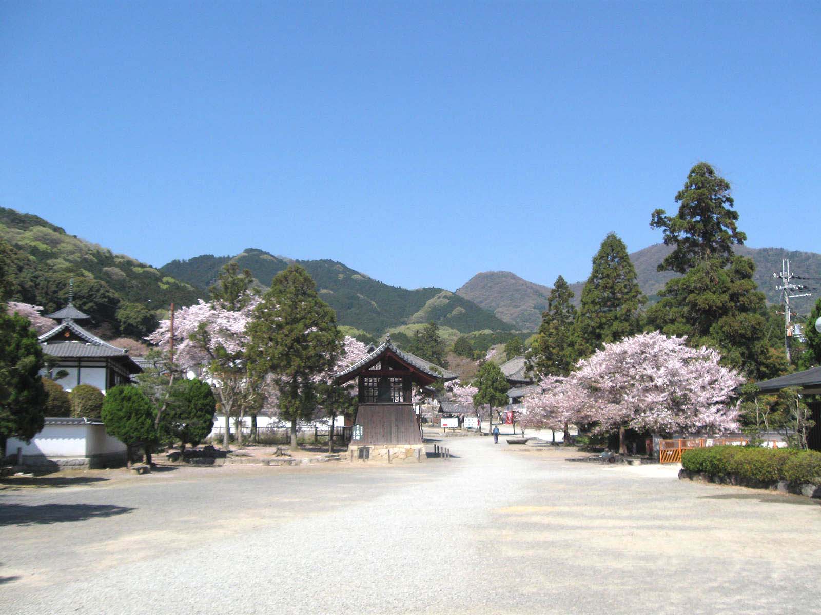 写真撮影in當麻寺とその周辺 奈良県の旅行記 ブログ By ゆったんさん フォートラベル 写真撮影in當麻寺とその周辺 奈良県の旅行記 ブログ By ゆったんさん フォートラベル