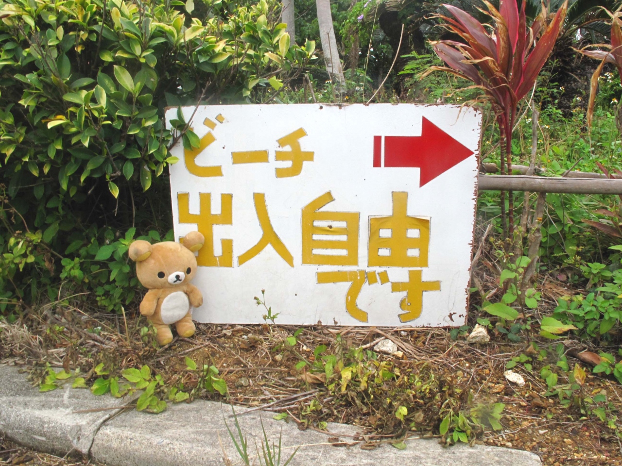 小浜島に到着 でも やっぱり雨 小浜島 沖縄県 の旅行記 ブログ By 白き風さん フォートラベル