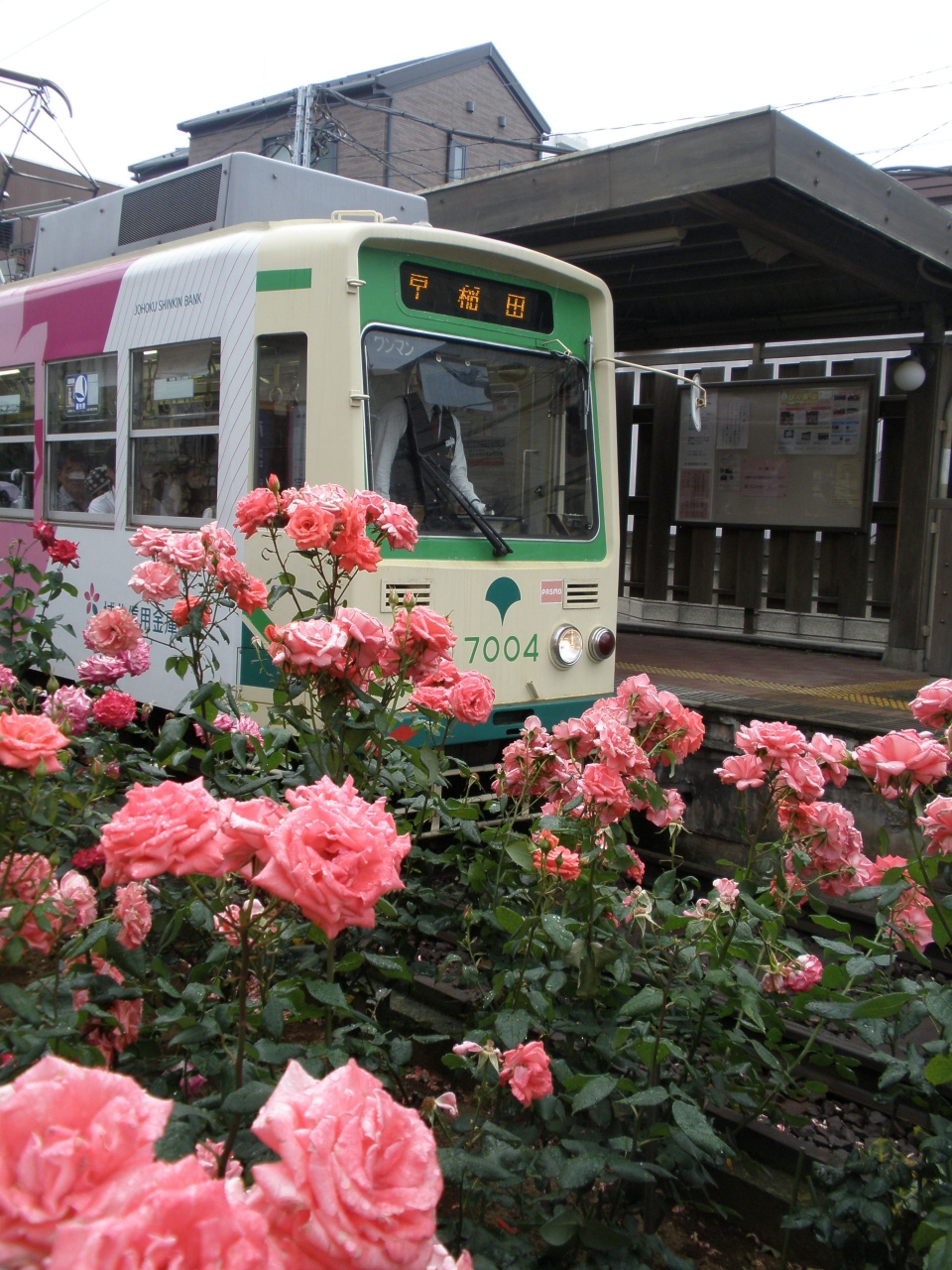 チンチン電車に乗って ぶらり途中下車の旅 日暮里 西日暮里 東京 の旅行記 ブログ By さくさん フォートラベル