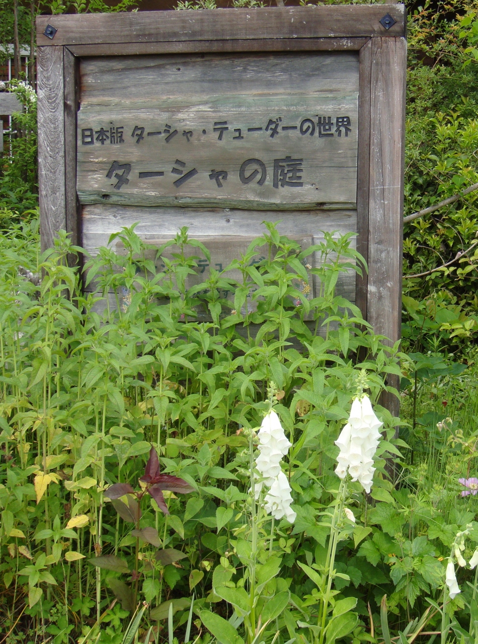 日本で紹介された ターシャの庭 可児 岐阜県 の旅行記 ブログ By Spaceglowさん フォートラベル