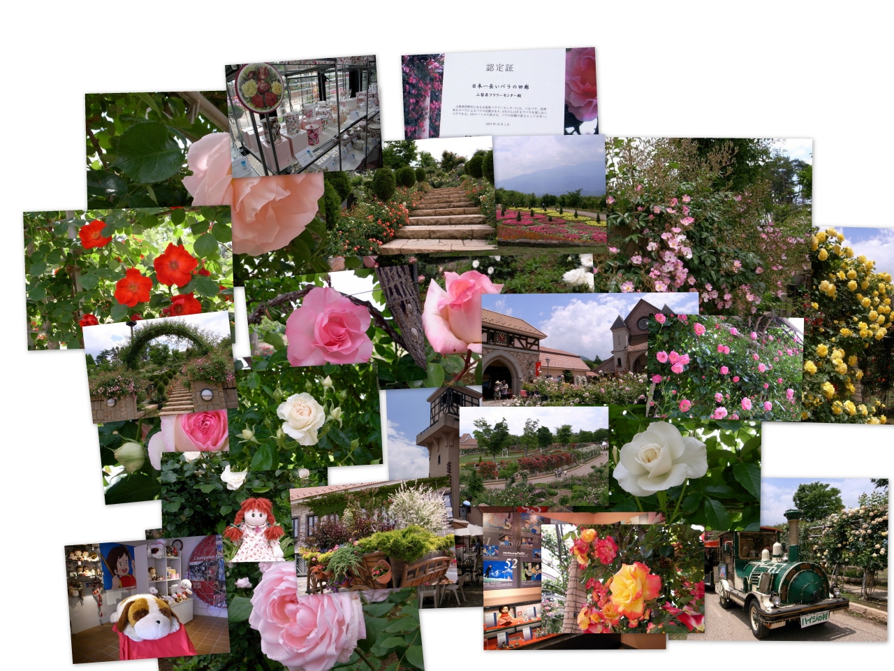 ハイジの村 日本一長い薔薇の回廊 明野 須玉 山梨県 の旅行記 ブログ By Hajiさん フォートラベル