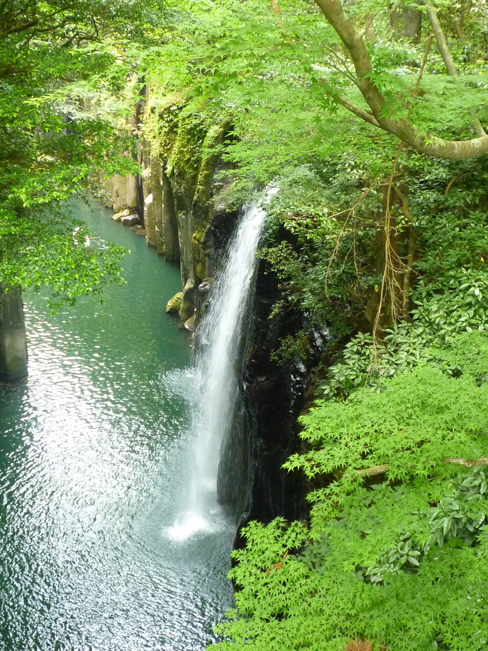 大分にあったトトロの森 高千穂峡編 高千穂 五ヶ瀬 宮崎県 の旅行記 ブログ By 爺さん フォートラベル