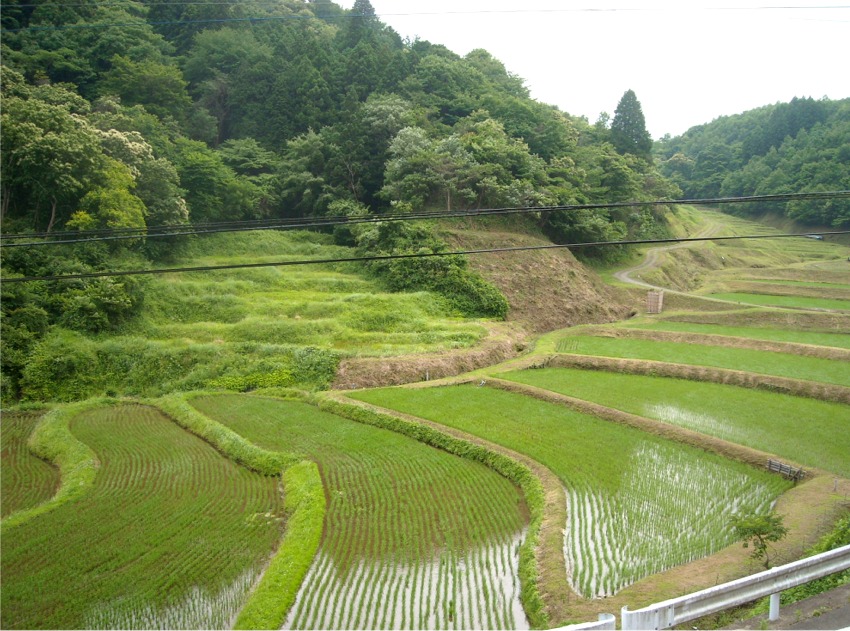 栃木の棚田 勝手に6選 益子 茂木 栃木県 の旅行記 ブログ By まりも母さん フォートラベル