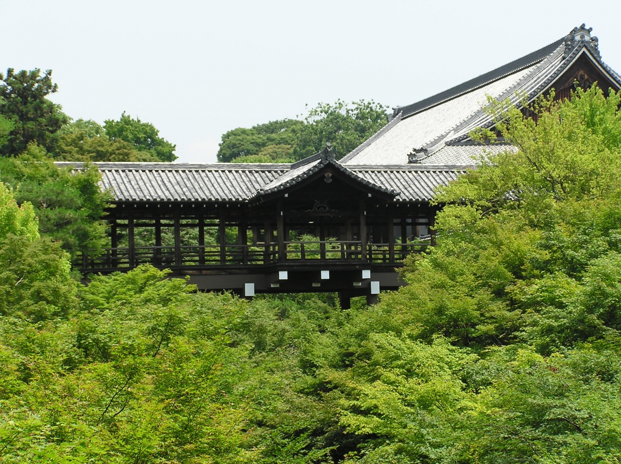 新緑の東福寺 通天橋 八相の庭 東山 祇園 北白川 京都 の旅行記 ブログ By ひろかなさん フォートラベル 新緑の東福寺 通天橋 八相の庭 東山 祇園 北白川 京都 の旅行記 ブログ By ひろかなさん フォートラベル