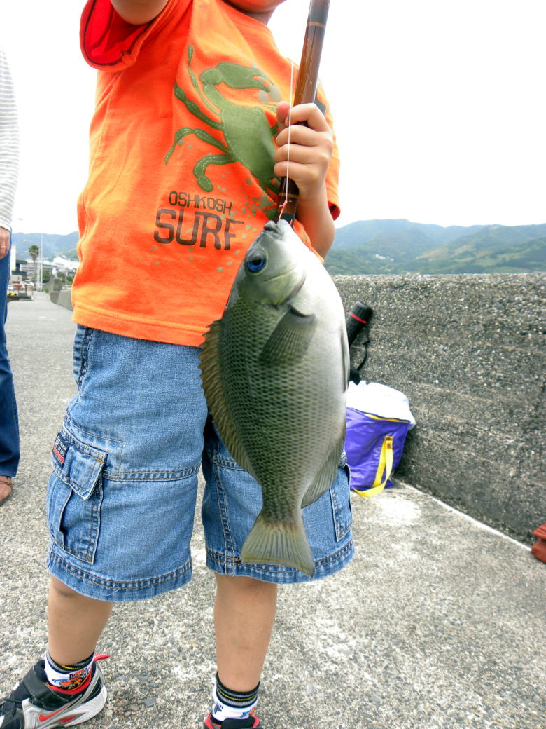 09 伊豆の自然と触れ合う1泊旅行 東急ハーヴェストクラブ伊東 伊東港で魚釣り メジナとキスを釣りました レイトチェックアウトを利用して卓球 中伊豆ワイナリー シャトー t s 伊東温泉 静岡県 の旅行記 ブログ By ミシマさん フォートラベル