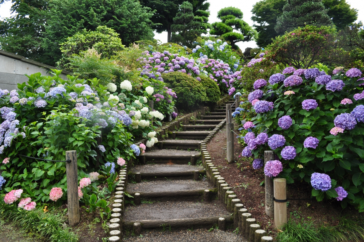 近郊16 水戸プチ旅行1 保和苑 水戸 茨城県 の旅行記 ブログ By Suomitaさん フォートラベル