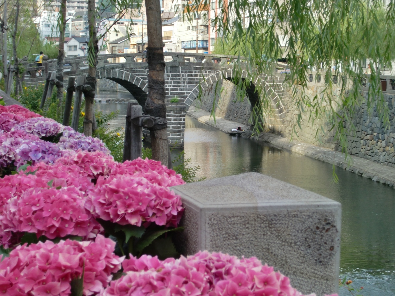 長崎さるく 紫陽花まつり 長崎市 長崎県 の旅行記 ブログ By 月雫さん フォートラベル