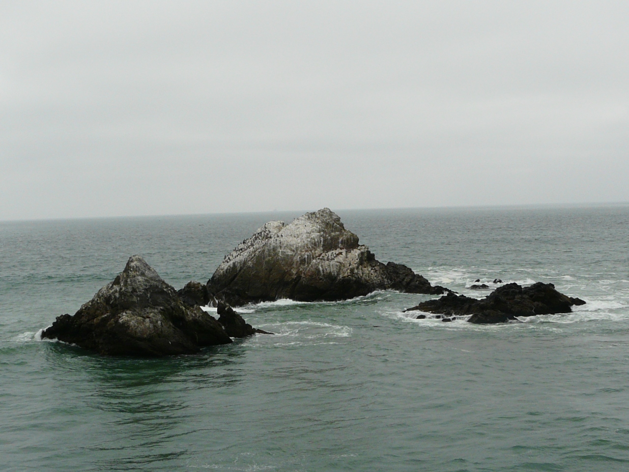 シールはいずこ シールは見えず ペリカンだらけの Seall Rock シールロック サンフランシスコ アメリカ の旅行記 ブログ By Guavalomilomiさん フォートラベル