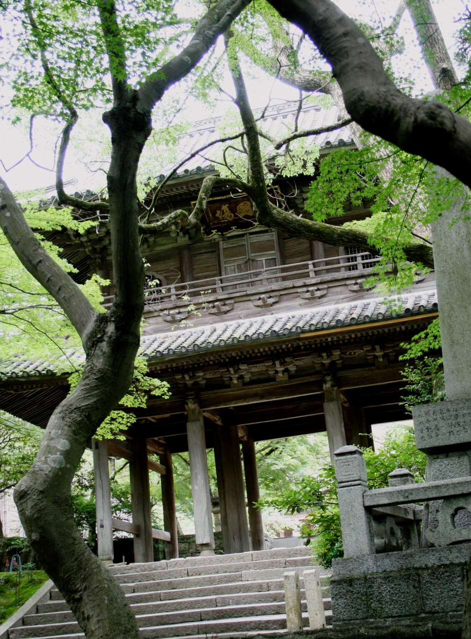 ひとり旅 ［576］ 関門海峡両岸と長府へ⑤＜長府毛利家の菩提寺 功山寺＞山口県下関市