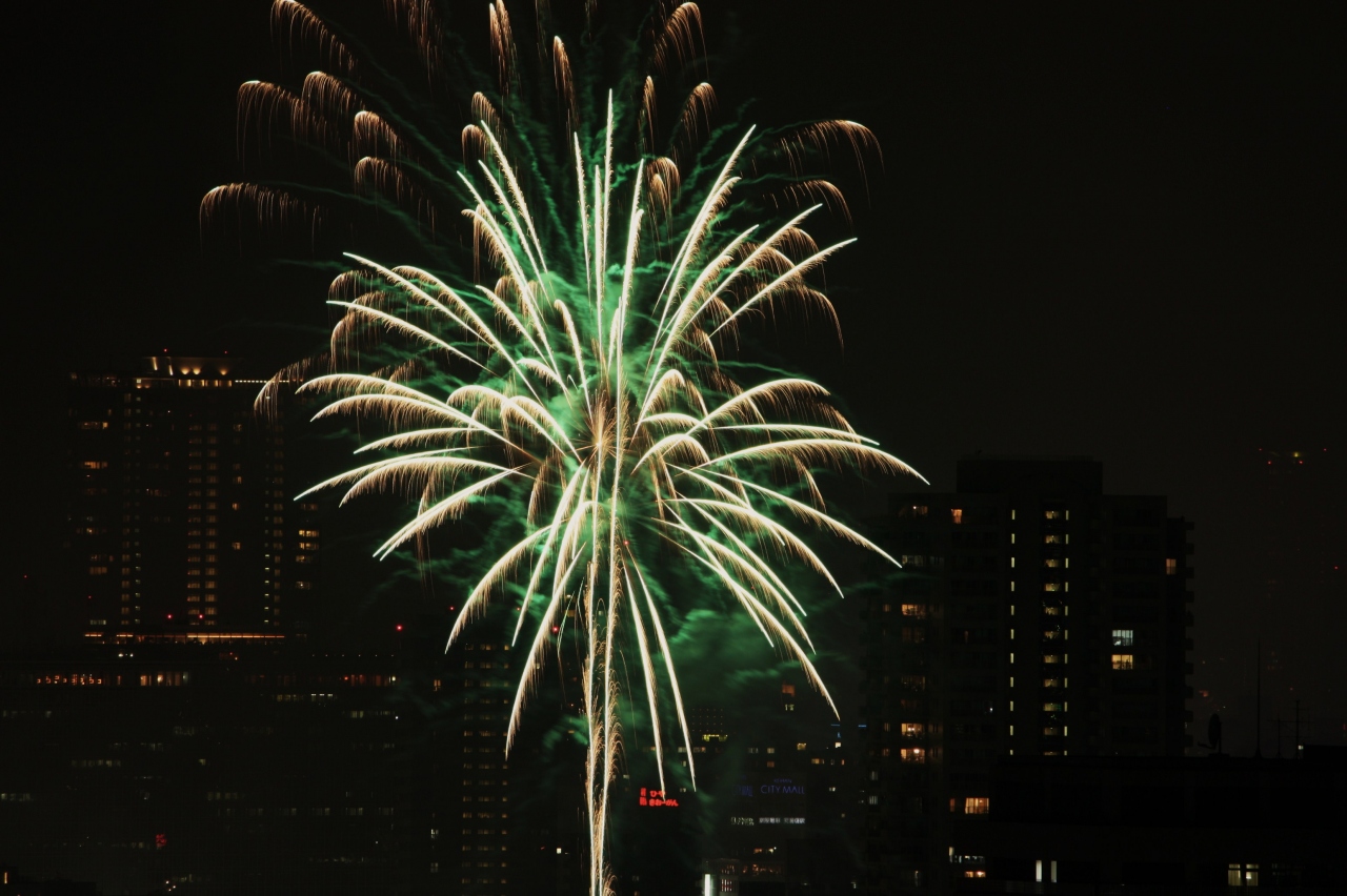 自宅から花火撮影 ２００９ 天神祭奉納花火 大阪城 京橋 大阪 の旅行記 ブログ By みにくまさん フォートラベル