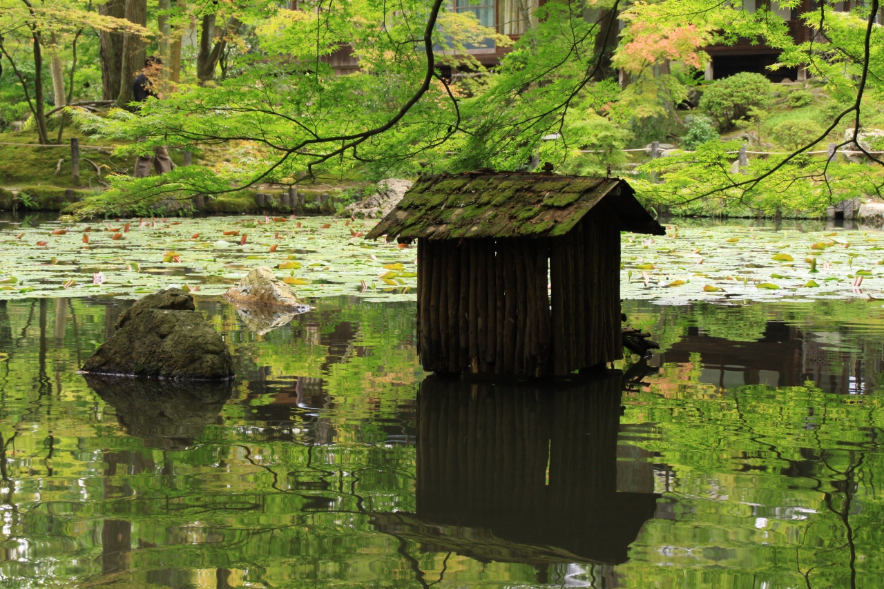 京都めぐり 天授庵 南禅寺三門 閉門間近で絶景ひとり占め 劇団四季 下鴨 宝ヶ池 平安神宮 京都 の旅行記 ブログ By ころっつさん フォートラベル 京都めぐり 天授庵 南禅寺三門 閉門間近で絶景ひとり占め 劇団四季 下鴨 宝ヶ池 平安神宮 京都 の旅行記 ブログ By ころっつさん フォートラベル